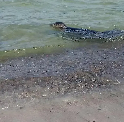 Wczasy Na Pagorku Vakantiehuis *